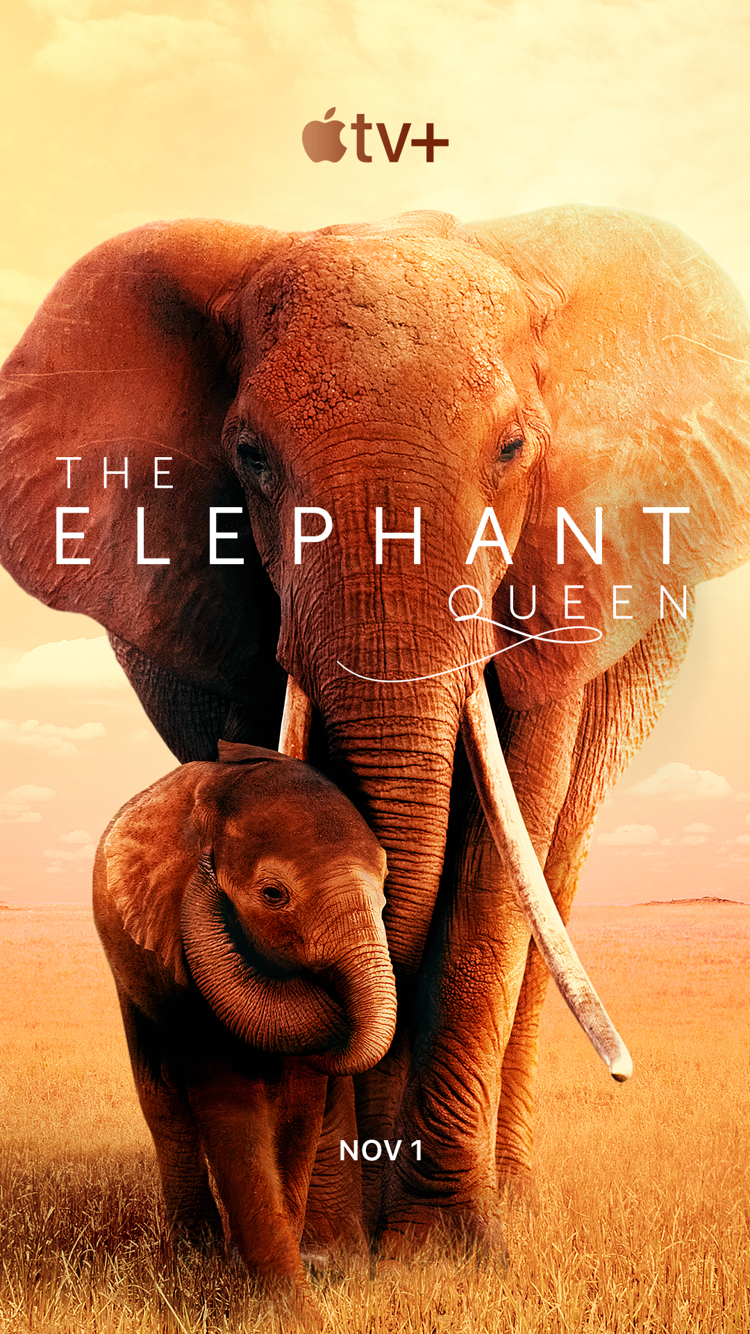 The Elephant Queen (2019) อัศจรรย์ราชินีแห่งช้าง - ดูหนังออนไลน