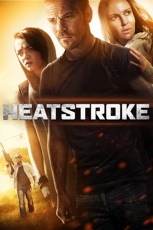 Heatstroke (2013) อีกอึดหัวใจสู้เพื่อรัก - ดูหนังออนไลน