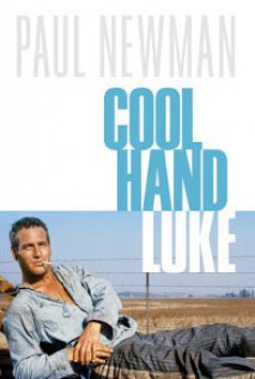 Cool Hand Luke (1967) คนสู้คน - ดูหนังออนไลน